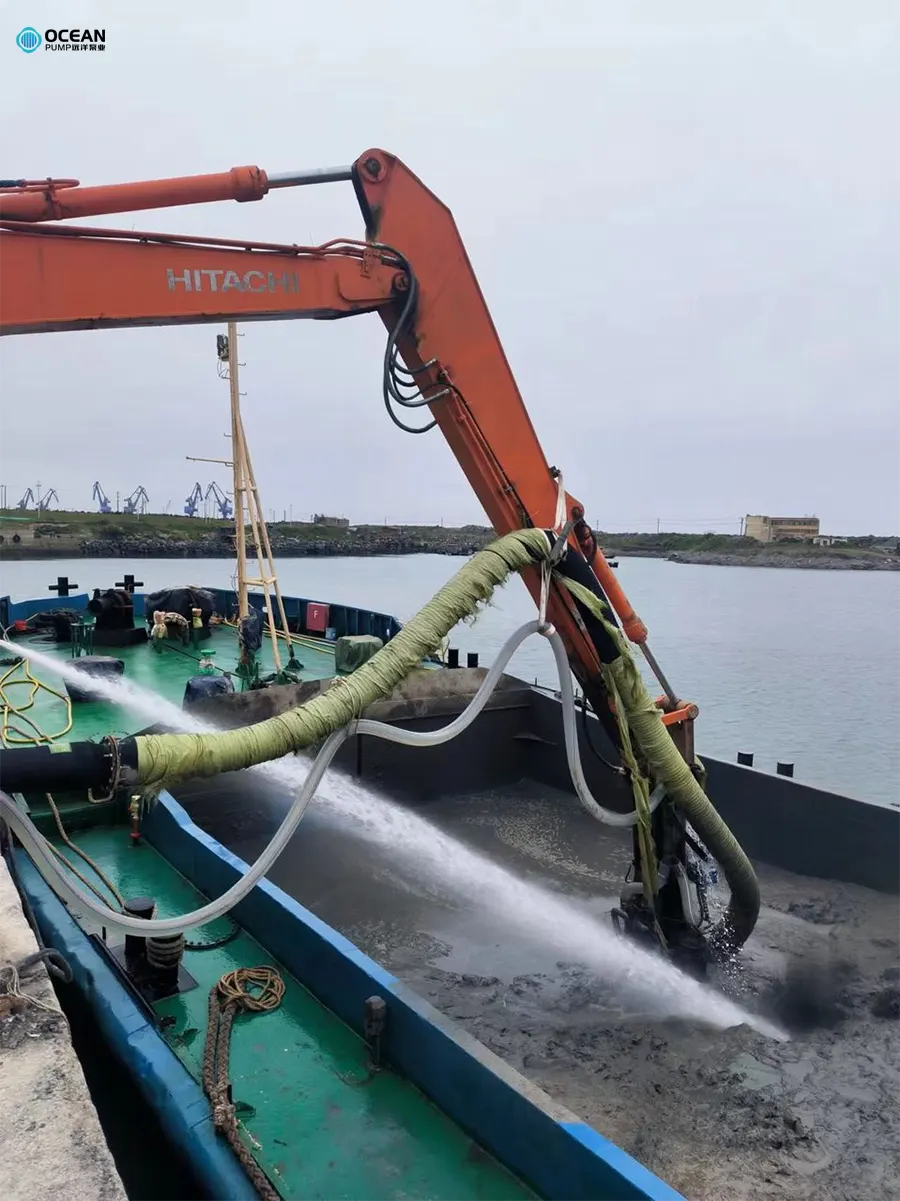Submersible Slurry Pumps Submersible Slurry Pumps