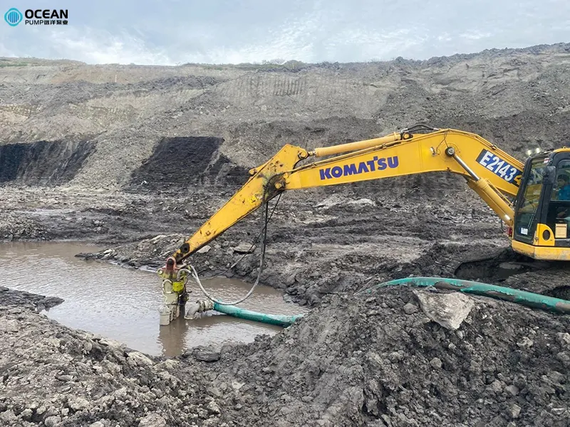 Excavator With Submersible Slurry Pump Excavator With Submersible Slurry Pump